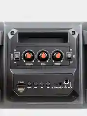 Bluetooth-колонка с подсветкой Dialog AO-11, 26 Вт, с караоке, FM, USB/MicroSD