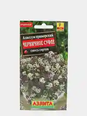Алиссум "Черничное суфле", семена, цветы