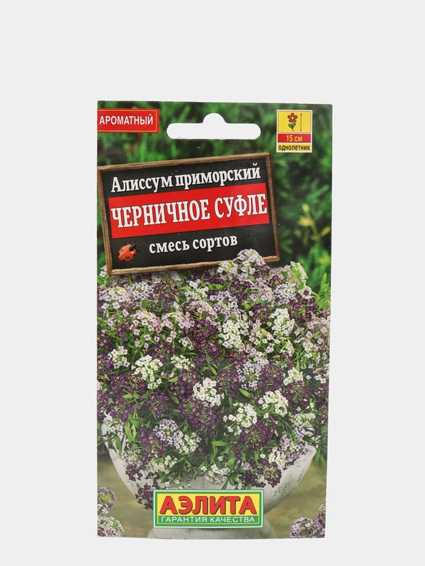 Алиссум "Черничное суфле", семена, цветы