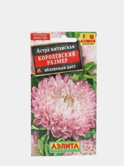 Астра Королевский размер яблоневый цвет, семена, цветы