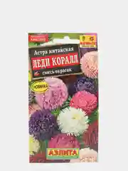 Семена цветы "Астра Леди коралл"