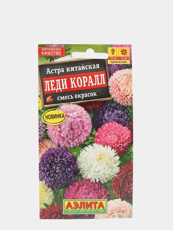 Семена цветы "Астра Леди коралл"
