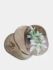 Салфетки сервировочные Польские, ПВХ 28х40 см, (овальные)