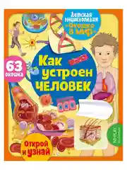 Окошко в мир. Как устроен человек