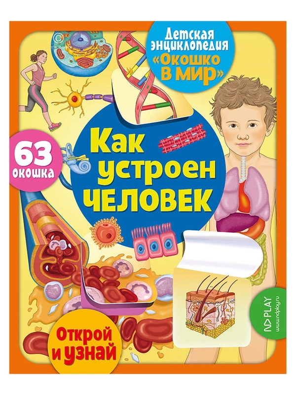 Окошко в мир. Как устроен человек