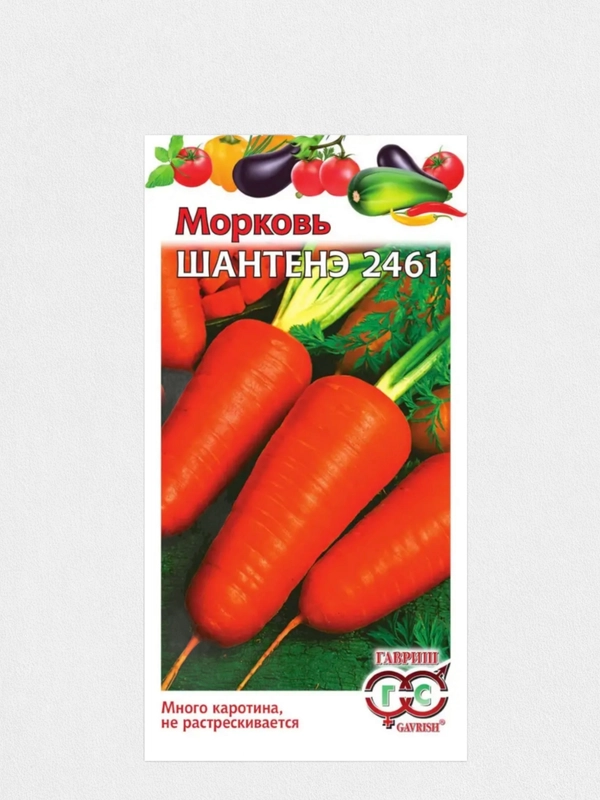 Морковь Шантенэ 2461 (семена)