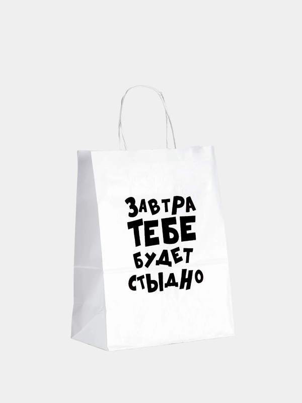 Пакет подарочный с надписью "Завтра тебе будет стыдно", 24 х 14 х 30 см