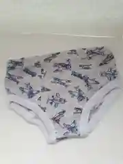 Трусы для мальчика, 4 года, рост 104 см