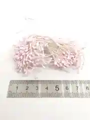 Розовый тычинки гипсовые, матовые