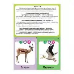 Обучающая книга Логопедические картинки. Звук Г-К, 24 стр