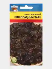Семена Салат "Шоколадный заяц"
