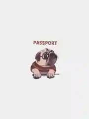 Коралловый обложка на паспорт с  оригинальным и ярким принтом, 29 принтов