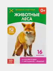 Обучающая книжка (карточки) по методике Г. Домана