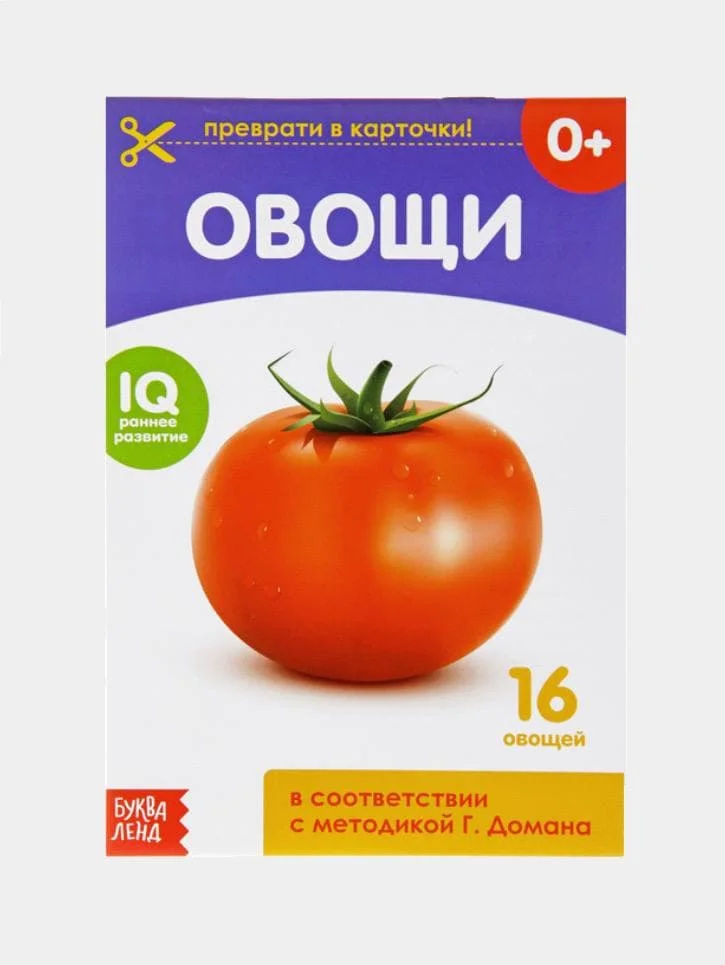 Обучающая книжка (карточки) по методике Г. Домана