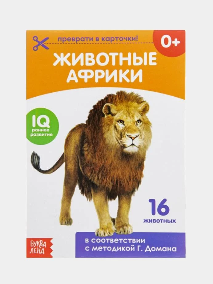 Обучающая книжка (карточки) по методике Г. Домана