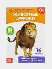 Обучающая книжка (карточки) по методике Г. Домана
