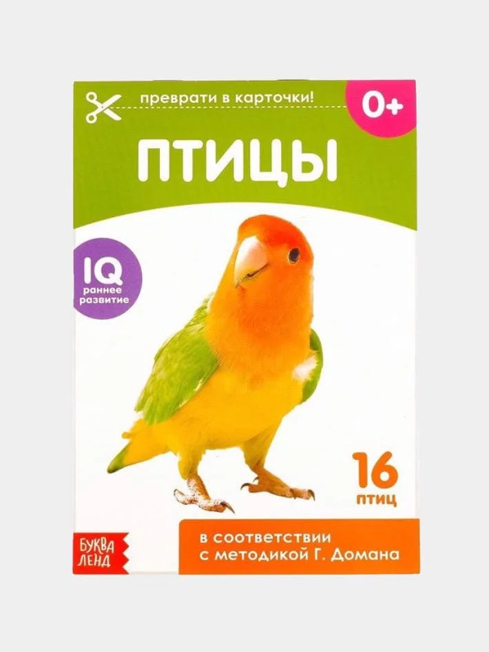 Обучающая книжка (карточки) по методике Г. Домана