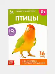 Обучающая книжка (карточки) по методике Г. Домана