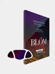 Патчи микроигольные BLOM для лба Wrinkle Iron For The Forehead, 2 патча