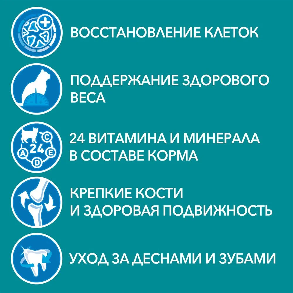 Сухой корм Purina ONE для кошек старше 11 лет, с курицей и цельными злаками, 750 г