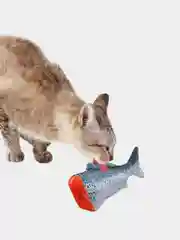 Игрушка для кошки, с кошачьей мятой, в форме рыбы