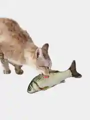 Игрушка для кошки, с кошачьей мятой, в форме рыбы