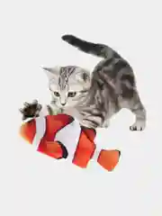 Игрушка для кошки, с кошачьей мятой, в форме рыбы