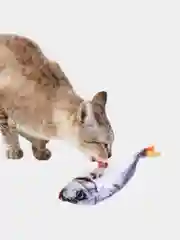 Игрушка для кошки, с кошачьей мятой, в форме рыбы