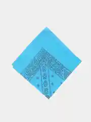 Голубой бандана с принтом огурцы