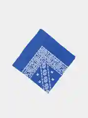 Синий бандана с принтом огурцы