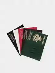 Обложка для паспорта, выделанная кожа