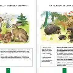 МИР ЖИВОТНЫХ: Домашние и дикие животные (звери) средней полосы. Домашние и дикие птицы
