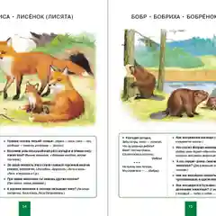 МИР ЖИВОТНЫХ: Домашние и дикие животные (звери) средней полосы. Домашние и дикие птицы