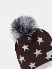 Коричневый шапка зимняя Arctic kids для мальчика