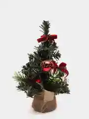 Красный рождественская ёлочка