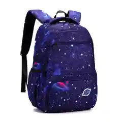 Индиго рюкзак школьный Star Sistem