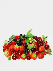 Полимерное удобрение Аквадон микро для плодово-ягодных культур