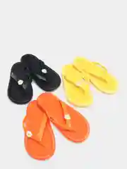 Сланцы с хризантемой