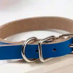 Синий ошейник кожаный для кошек,собак и домашних животных