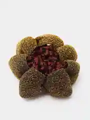 Золотой сетка для волос
