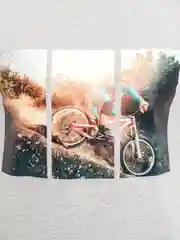 Мужская футболка с принтом