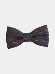 Угольный галстук-бабочка "Школьные предметы"