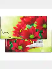 Коралловый конверты для денег Женские 8,2х17 см (10 Штук)