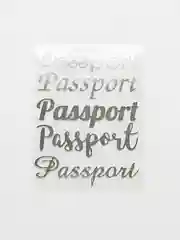 PASSPORT набор термонаклеек для обложки на паспорт 5 шт