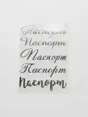 Серебряный набор термонаклеек "Паспорт", для обложки на паспорт, 5 штук