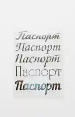 Набор термонаклеек "Паспорт", для обложки на паспорт, 5 штук