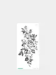 Коричневый татуировки "Животные и растения", 21*10 см