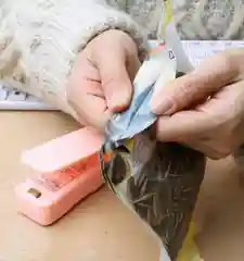Портативный запайщик пакетов