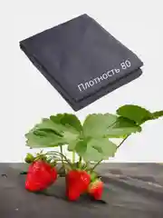 Материал укрывной мульчирующий, 10*1,6 м, плотность 80, с УФ-стабилизатором, чёрный