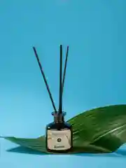 Ароматический диффузор для дома Aromateria, 50 мл